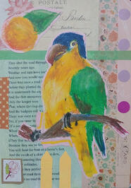 a single page collage featured around an illustration of a parrot - this would be a more expensive illustration