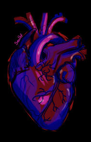 A human heart on a black background