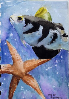 a watercolour picture of a fish and a starfish